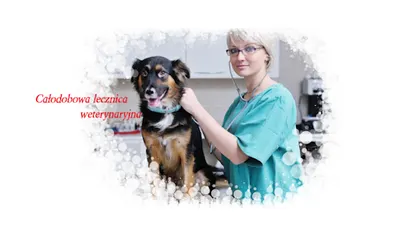 Całodobowa Lecznica dla Zwierząt lekarz weterynarii Jarosław Andrzej Bandura